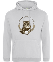 Load image into Gallery viewer, Spirit Of Thunder If It Flies It Dies College Hoodie