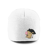 Load image into Gallery viewer, Rob Raven Pull-On Beanie 'Captain Fenton'