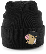 Load image into Gallery viewer, Rob Raven Cuffed Beanie 'Captain Fenton'