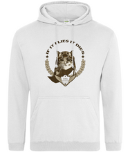 Load image into Gallery viewer, Spirit Of Thunder If It Flies It Dies College Hoodie
